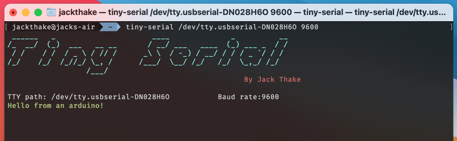 Tiny-Serial terminal interface with ASCII art banner